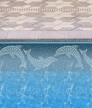 Blue Dolphin Liner in Inground Pool
